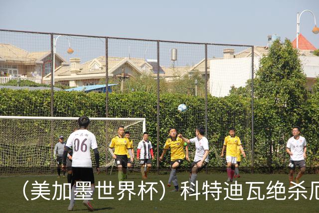 （美加墨世界杯）科特迪瓦绝杀厄瓜多尔 瑞典5:1大胜突尼斯